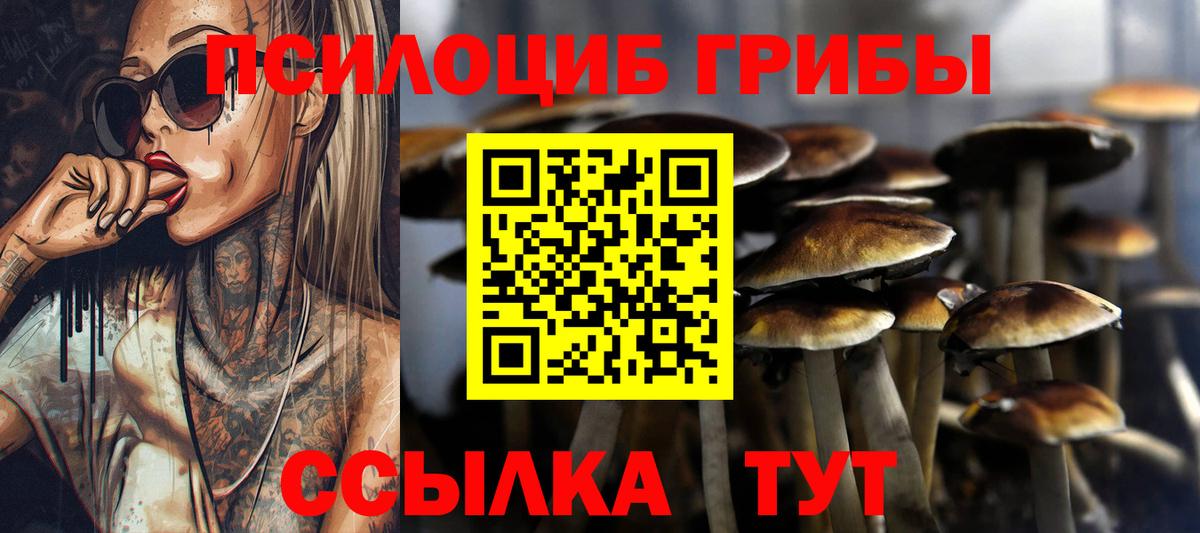дарнет шоп  Вход с VPN  Псилоцибиновые грибы MAGIC MUSHROOMS  Россия  Галлюциногенные грибы прущие грибы 