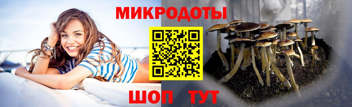 Псилоцибиновые грибы мицелий Россия