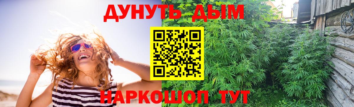 Шишки марихуана планчик Россия